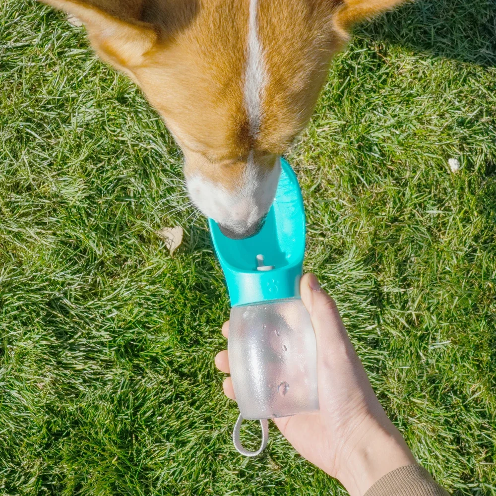 Botella de agua para mascotas, dispensador portátil a prueba de fugas para cachorros y gatos, alimentador de bebidas para mascotas pequeñas y grandes, suministros para tazas - Image 22